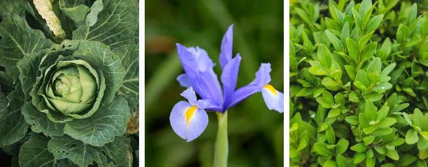 Weekly Update - 09 to 15 March - Aphylia Blog