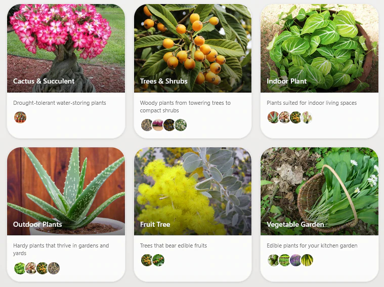 Capture d'écran 2026-03-17 193906