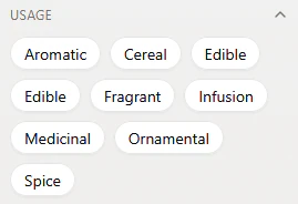 Capture d'écran 2026-03-06 135735