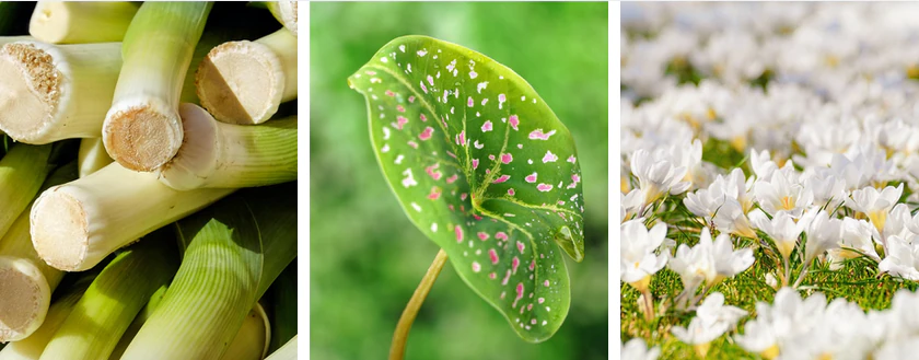 Capture d'écran 2026-03-16 203342 Capture d'écran 2026-03-16 203342