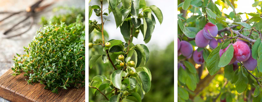 Weekly Update : 6/04 to 12/04 - Aphylia Blog