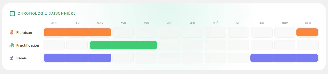 Capture d'écran 2026-02-22 130613
